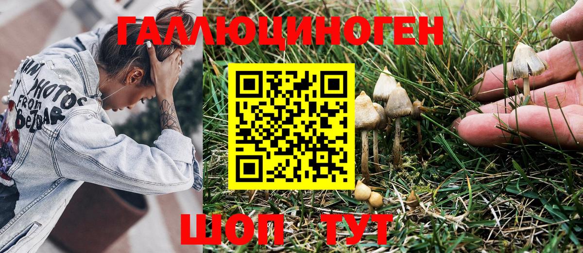 Галлюциногенные грибы MAGIC MUSHROOMS Щёлково