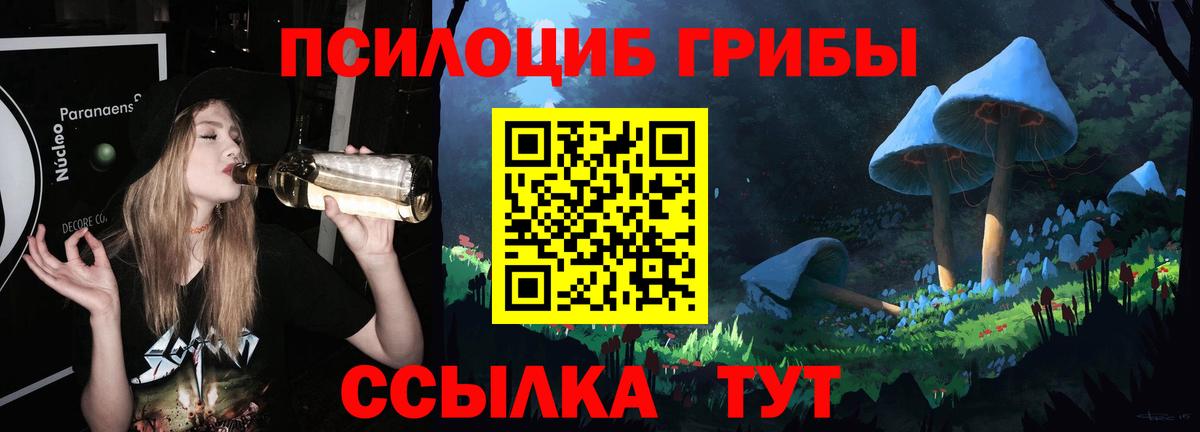 Щёлково  Галлюциногенные грибы мухоморы  Вход с VPN 